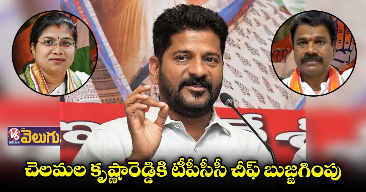 చెలమల కృష్ణారెడ్డితో రేవంత్ రెడ్డి భేటీ 